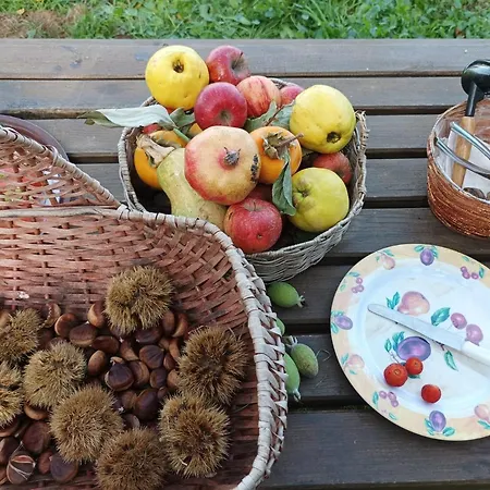 アパート On The Hill