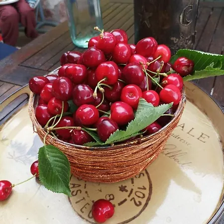 On The Hill アパート